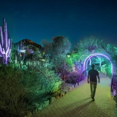 Latin Music Nights: Desert Oasis Garden After Dark