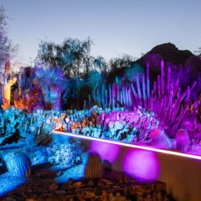 90s / 2000s Throwback Music Night: Desert Oasis Garden After Dark