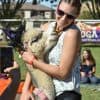 Halloween Party Goat & Alpaca Yoga