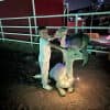 Pajama Party Goat & Alpaca Yoga