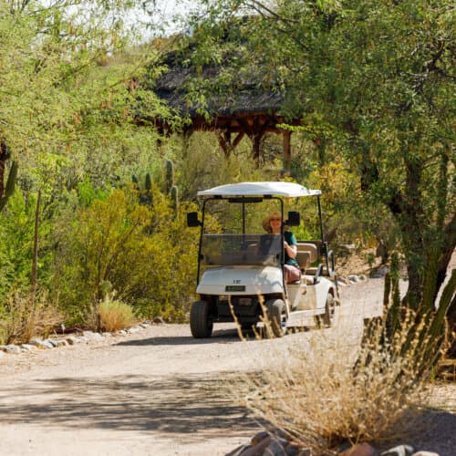 Golf Cart Tour