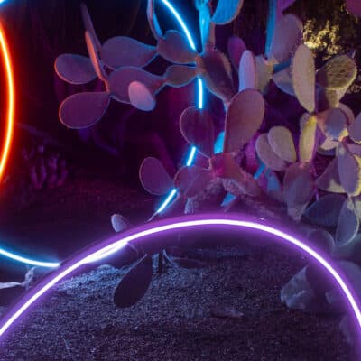 Classical Music Nights: Desert Oasis Garden After Dark