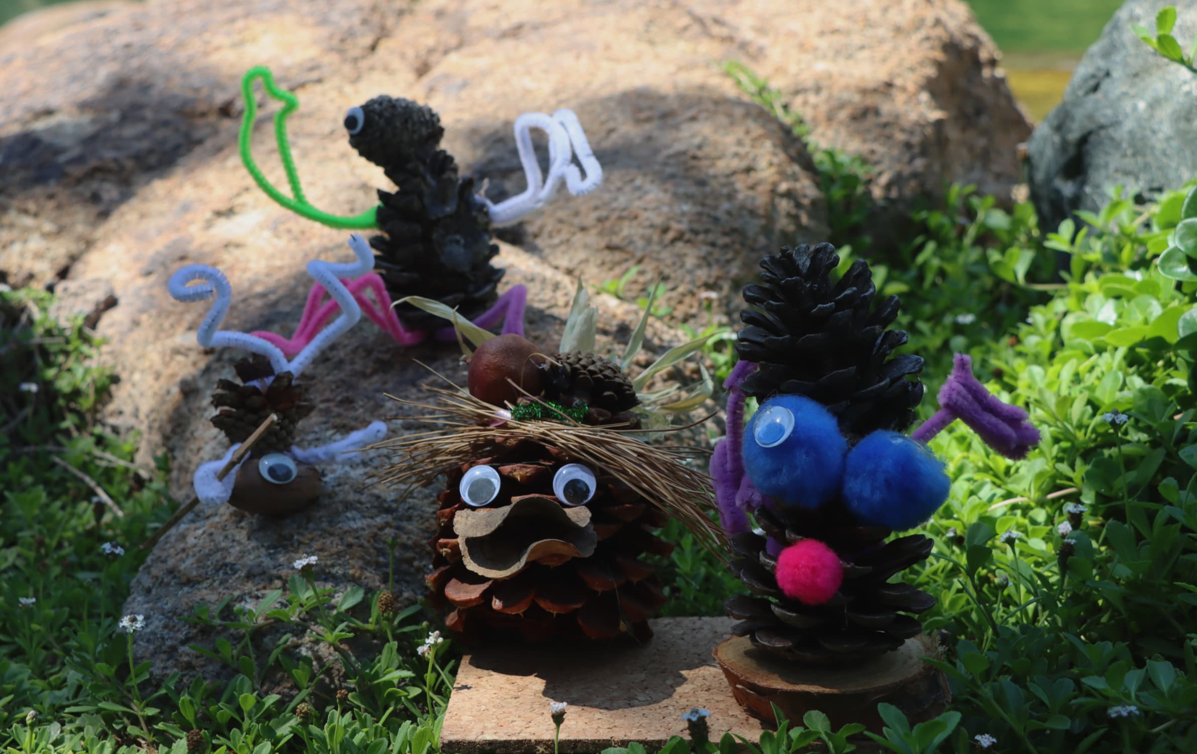 Craft a Garden Buddy using Garden Materials!
