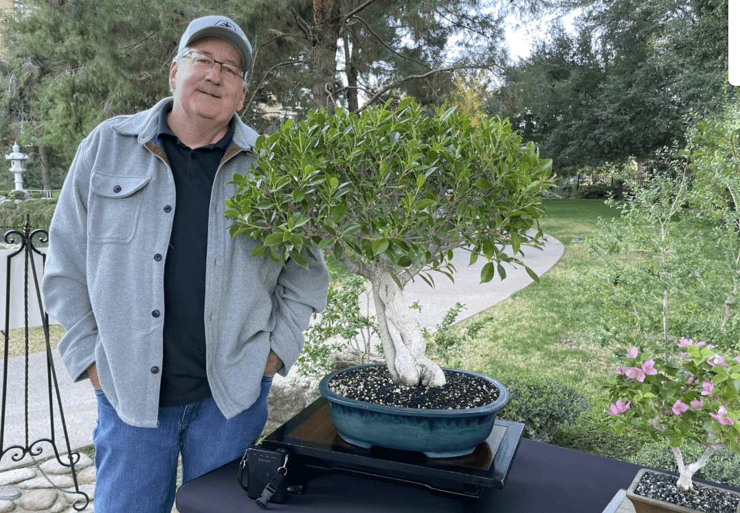 Bonsai for Beginners